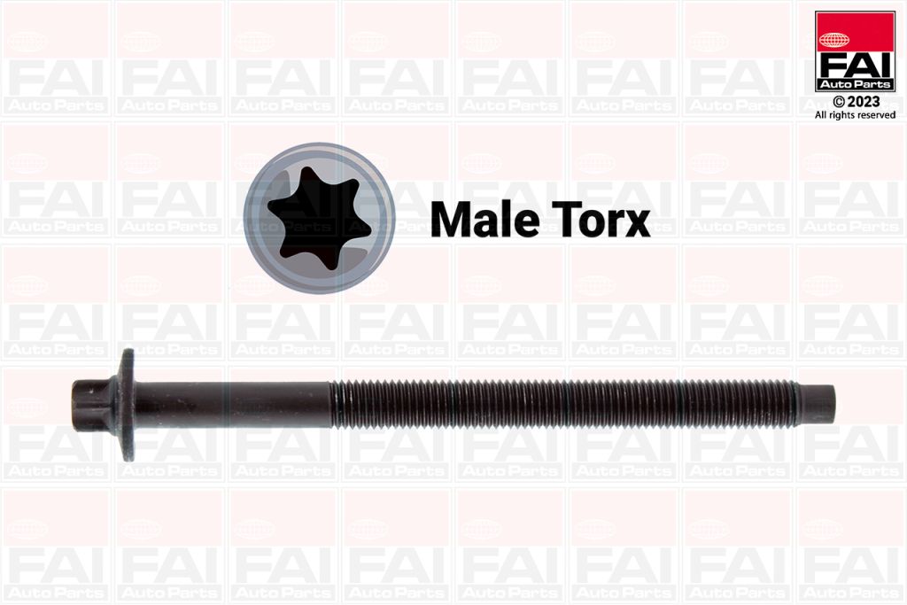 Ilustracja FAI B1157 FAI AUTOPARTS ŚRUBY GŁOWICY ZESTAW