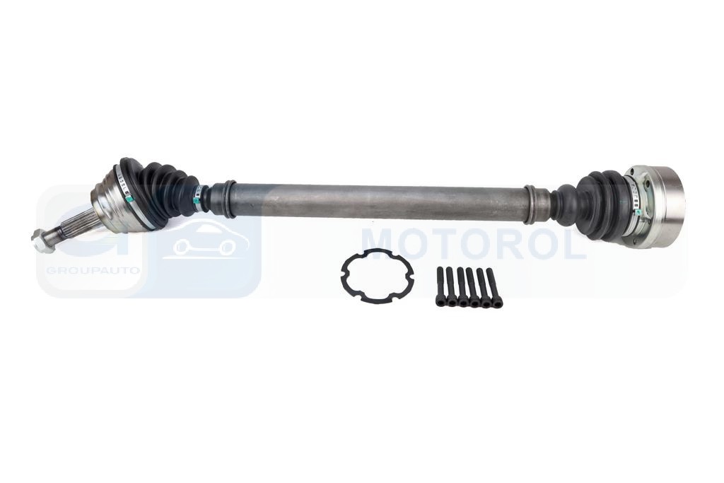 Ilustracja MMA TDS0276 MAGNETI MARELLI POLOS PR