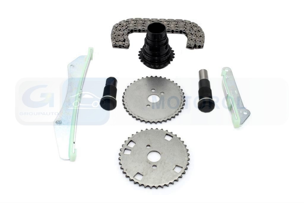 Ilustracja PSA 1674581080 PSA PEUGEOT CITROEN ZESTAW ŁAŃCUCHA ROZRZĄDU FIAT PSA